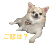 844113182