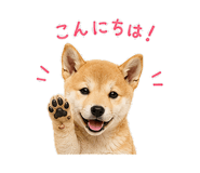 844113537