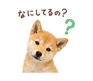 844113538