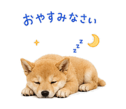 844113542