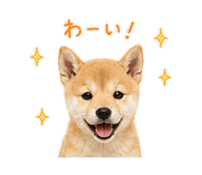 844113548