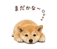 844113549