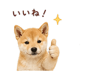 844113551