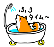 844113755