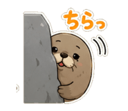 844114088