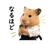 844114726
