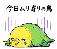 844115045