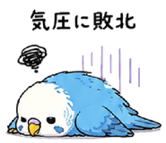 844115056