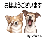 844115521