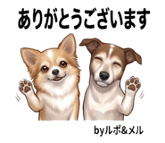 844115524