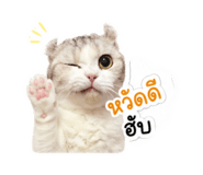 844115630