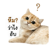 844115633