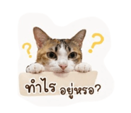 844115899