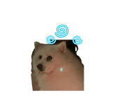 844118356
