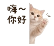 844120851