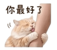 844120865