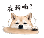 844121891