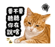 844122042