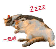 844123044
