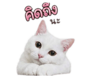 844124293