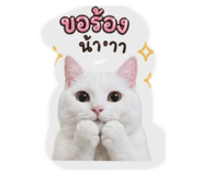 844124296
