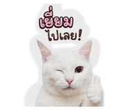 844124302