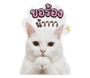 844124308