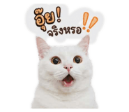 844124310