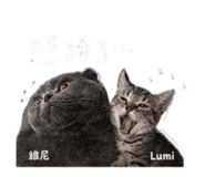 844126029