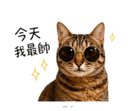 844126658