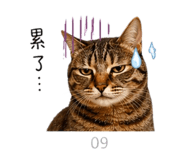 844126662