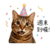 844126672