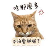 844126755