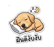 844129260