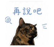 844130692