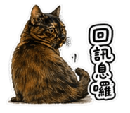 844130942