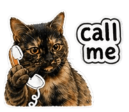 844130953