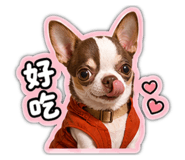 844131062
