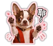 844131087