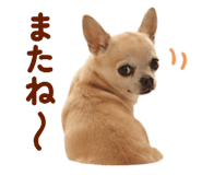 844132121