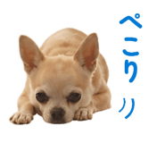844132122