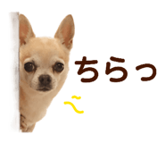 844132125