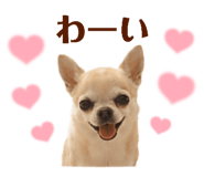 844132127