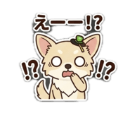 844132271