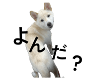 844132527