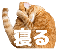 844132666