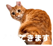 844132671