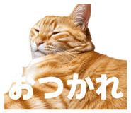 844132676