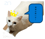 844133189