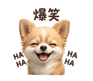 844133300